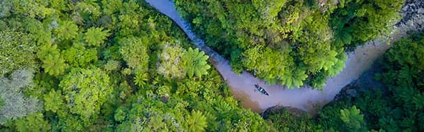Whanganui National Park offers one of New Zealand's most unique river landscapes. 