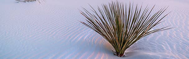 This place was declared a national monument in 1933 to protect its exceptionality